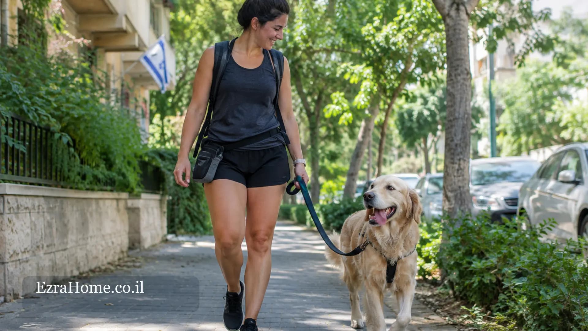 דוגווקר יוצא לטיול עם כלב בשביל ירוק בישראל